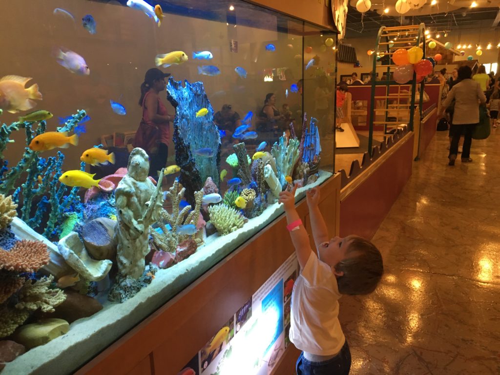 Donate The Woodlands Children's Museum