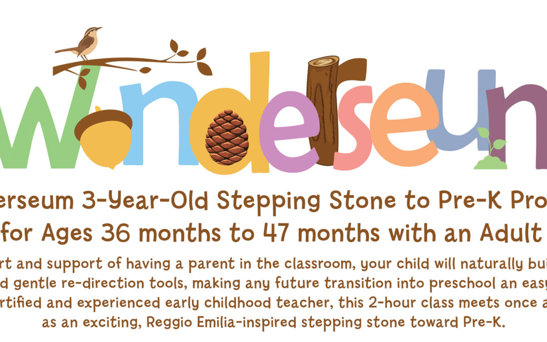 Wonderseum 3-Year-Old Program